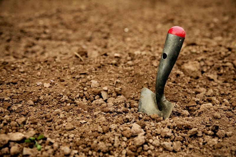 Spellbound Shovels