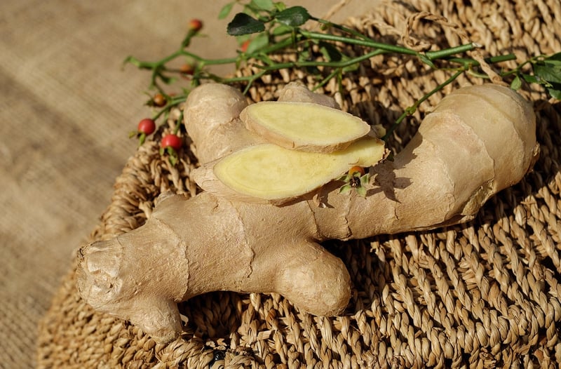 Mandrake plant